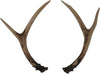 Whitetail Deer Antlers Set (2 Pack) Lifelike Faux Resin, Rustic Lodge Home Décor, Decorative Crafts, Wedding Centerpiece, Table Top Decoration, Coffee Table Decor