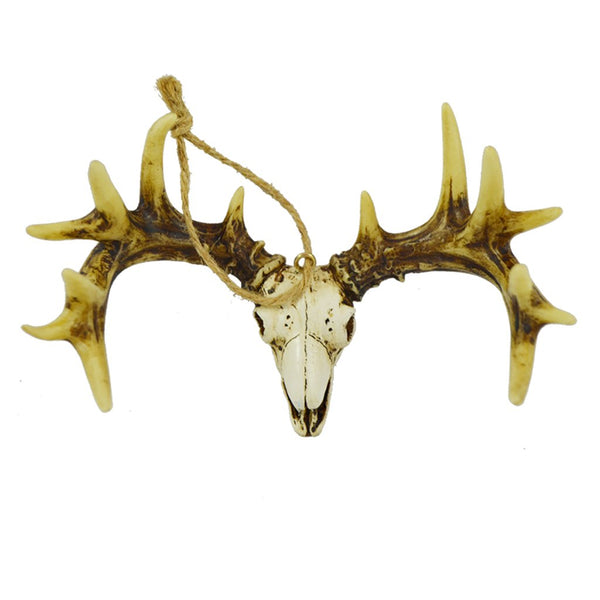 Pine Ridge Deer Skull 4