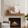White Medium Wall Mount Hanging Deer Head and Antlers