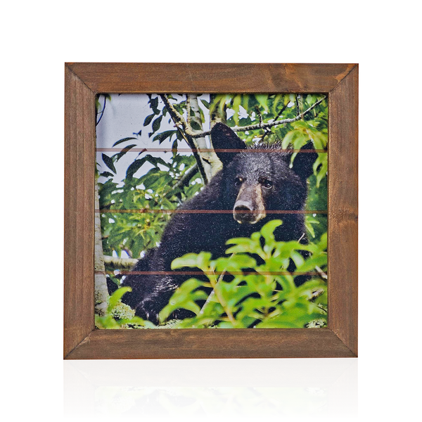 Pine Ridge Black Bear Framed Wall Art - Modern Rustic Wood Frame, Home Decor For Living Room, Bedroom, Or Cabin, 7.75 Inches