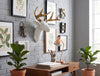 Pine Ridge Medium White Deer Head With Gold Antlers - Unique Animal-friendly Light-weight Wall Mount Hanging Sculpture Beautifully Hand Painted and Crafted Polyresin - Great For Arts and Crafts