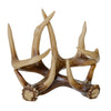 Deer Antler Salt and Pepper