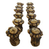 Pine Ridge Antler Drawer / Cabinet Knobs (Pack of 12) Knob Pulls with Screws. Antler Decor