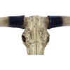 Southwestern Bull Longhorn Skull Steer Bull Head Rustic Chic Wall Hanging Texas Decor by Pine Ridge | Strong and Durable Polyresin Made Aged Finish Sculpture Replica of Real Steer Head Skull Gift Idea