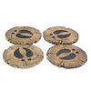 Old West Deer Antler Coasters